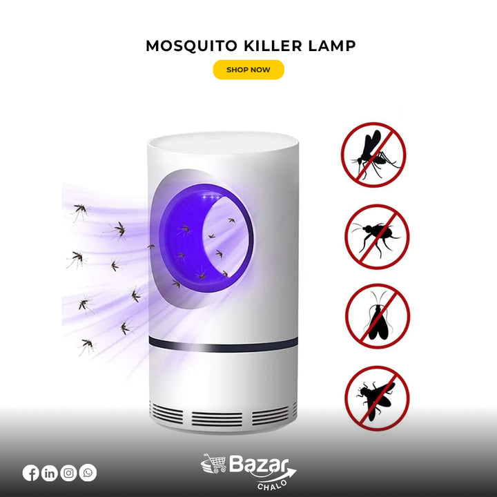 Portable mosquito killer lamp