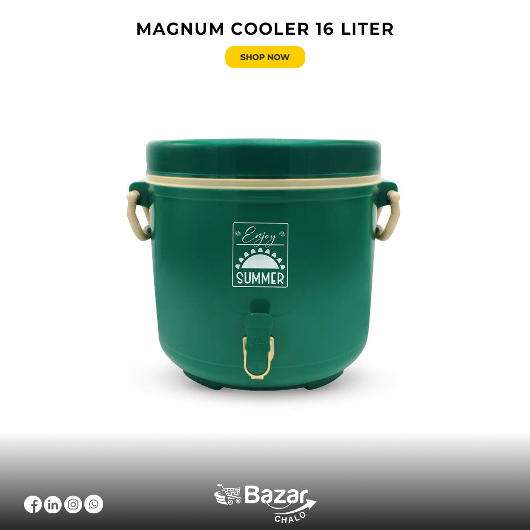 Portable water cooler 