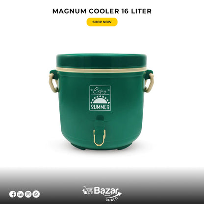Portable water cooler 