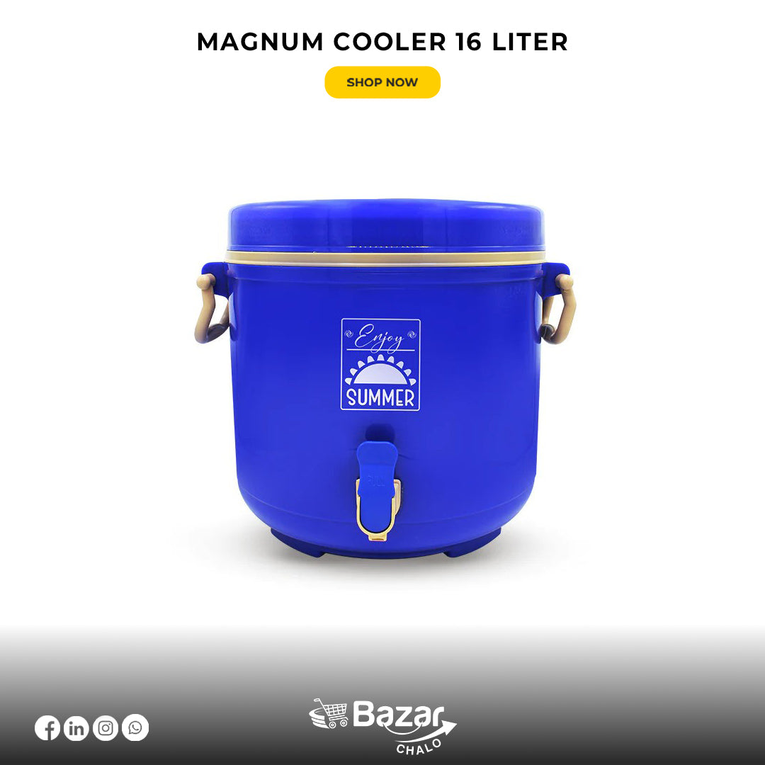 Best water cooler for picnic 