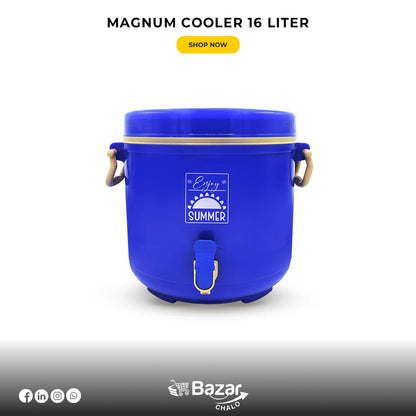 Best water cooler for picnic 